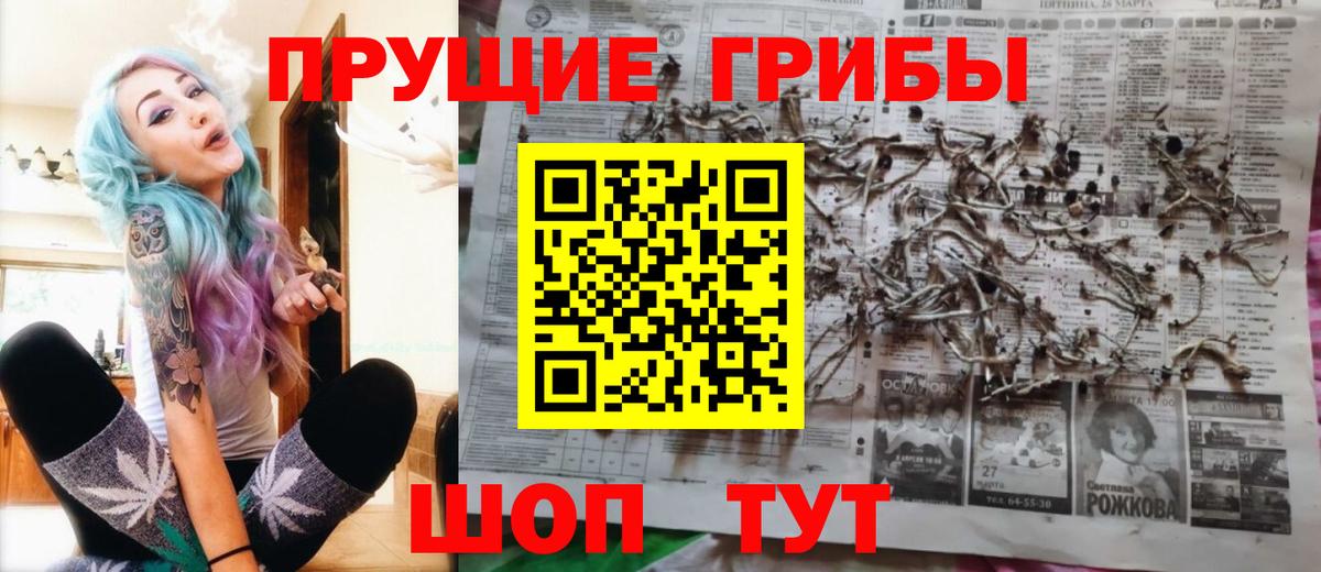 Псилоцибиновые грибы мицелий Гулькевичи