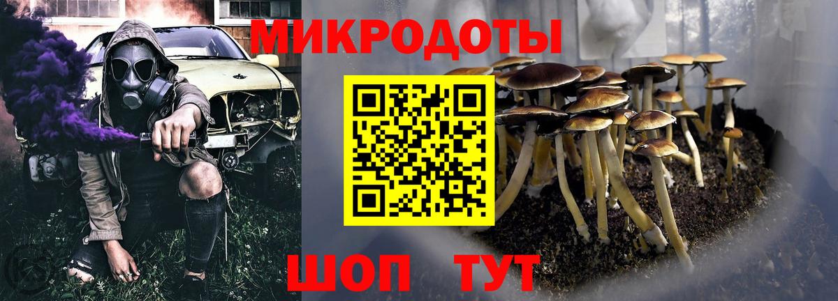 Галлюциногенные грибы Cubensis  Вход с VPN  Гулькевичи 